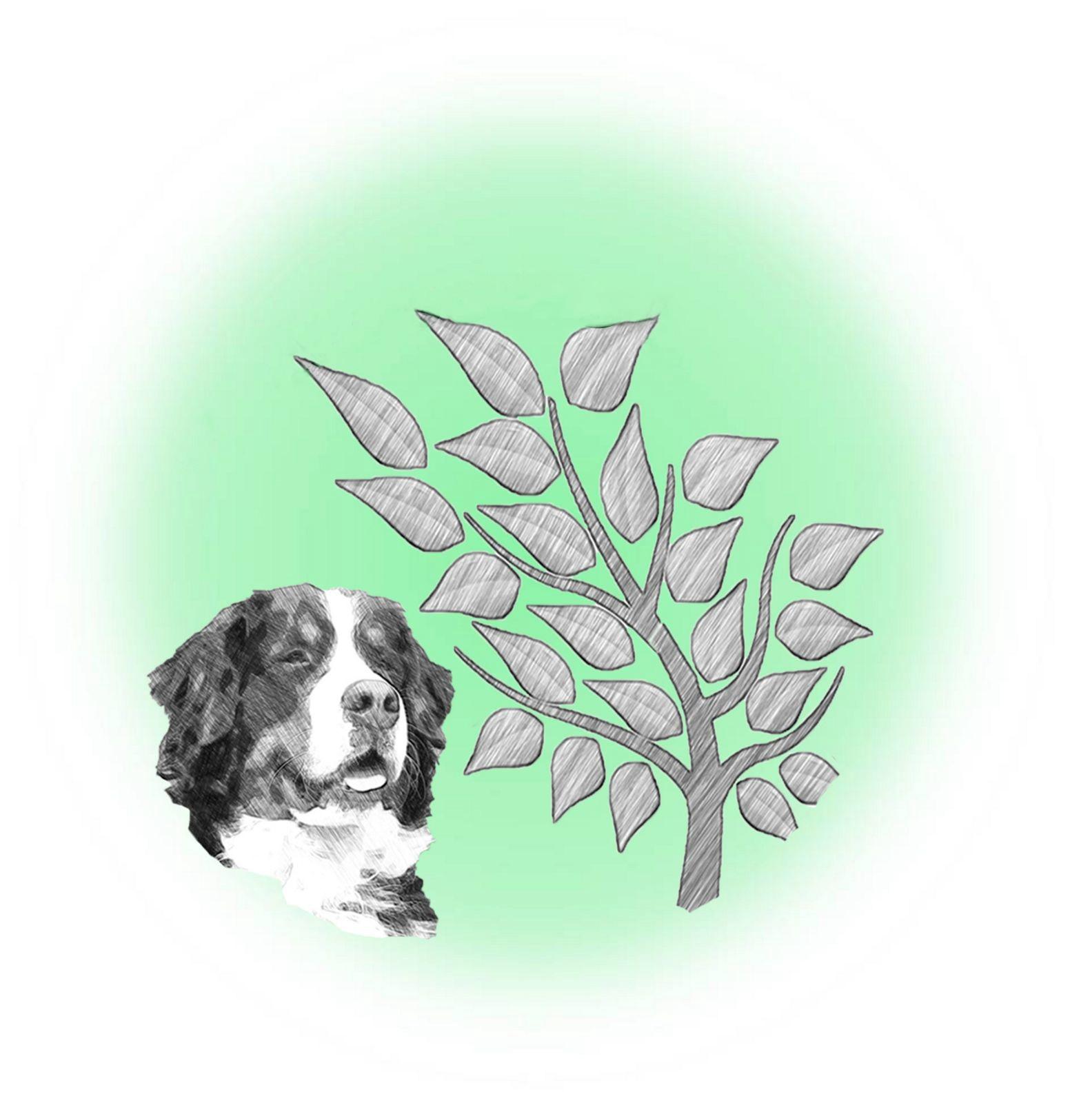 Alma Rodondi – Educatrice Cinofila